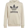 adidas Originals Beige Trefoil Hoodie Sale