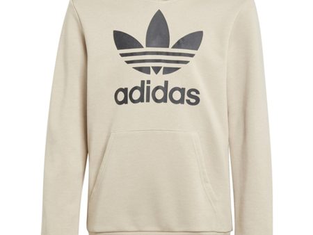 adidas Originals Beige Trefoil Hoodie Sale