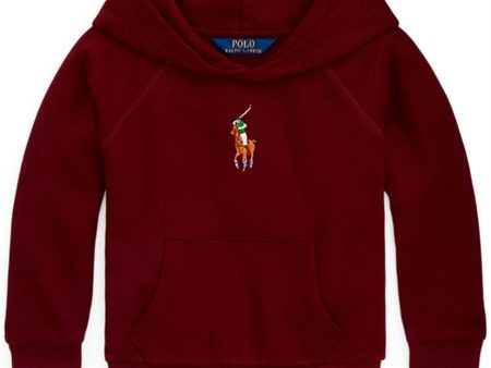 Polo Ralph Lauren Girl Hoodie Harvard Wine Online Sale