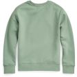 Polo Ralph Lauren Sweatshirt Green Online Sale