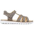 Angulus Sandal W. T-Strap And Velcro Leopard For Sale