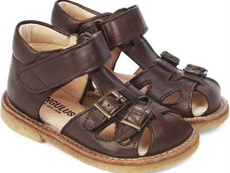 Angulus Starter Sandal W. Velcro And Buckles Dark Brown on Sale