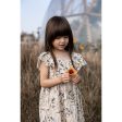 Fliink Sandshell Aop Elmo Dress Online Hot Sale