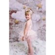 Dolly by Le Petit Tom Velvet Leotard With Tulle Tutu Dress Ballet Pink For Cheap