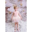 Dolly by Le Petit Tom Velvet Leotard With Tulle Tutu Dress Ballet Pink For Cheap