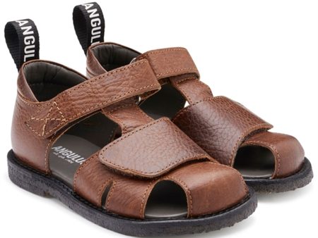 Angulus Sandal W. Velcro Cognac For Sale