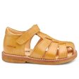 Angulus Sandal W. Velcro Camel Sale