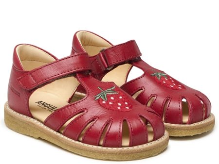 Angulus Sandal w. Strawberry and Velcro Red on Sale