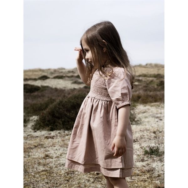 Serendipity Almond Smock Dress Fashion