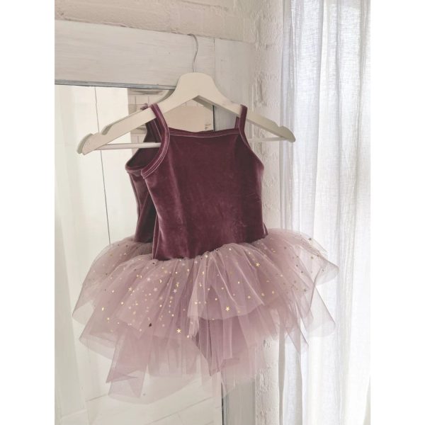 Dolly by Le Petit Tom Velvet Leotard With Tulle Tutu Dress Dusty Violet For Discount