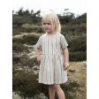 Serendipity Misty Stripes Loose Dress Online