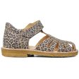 Angulus Sandal W. Velcro Leopard on Sale