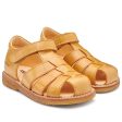 Angulus Sandal W. Velcro Camel Sale