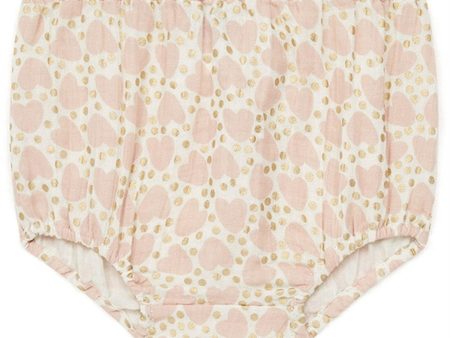 BONTON Sacre Coeur Baby Pants For Cheap