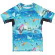 Molo Passion For Motion Neptune Swimming T-shirt Discount